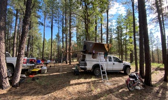 FR95 Dispersed Camping