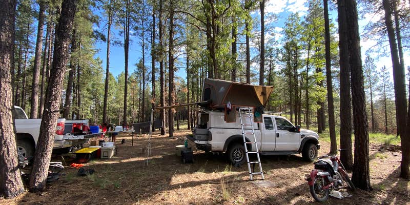Camper submitted image from FR95 Dispersed Camping