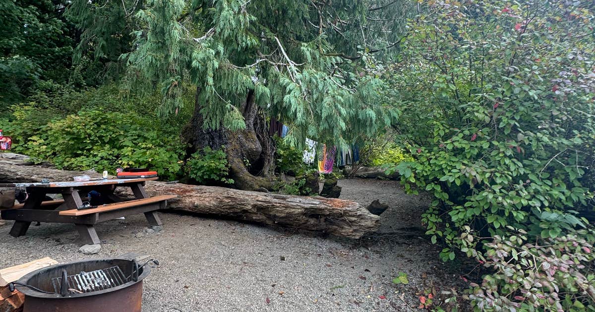 Falls Creek — Olympic National Park
