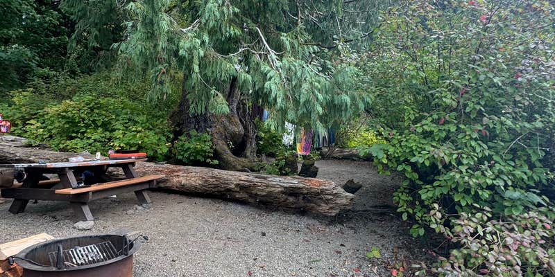 Camper submitted image from Falls Creek — Olympic National Park