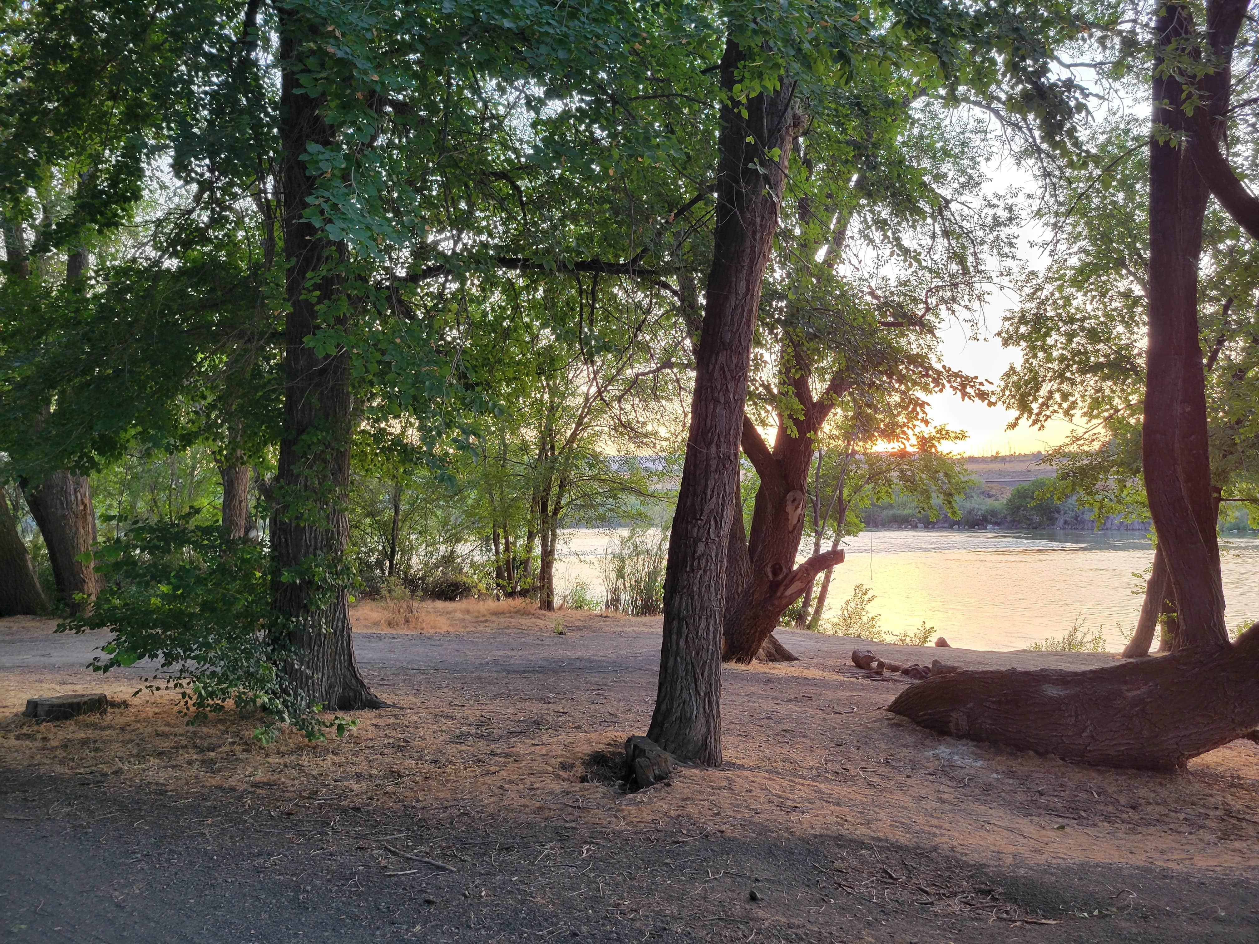Camper-submitted photo at Frank C Jones King Hill Area near Corral, ID