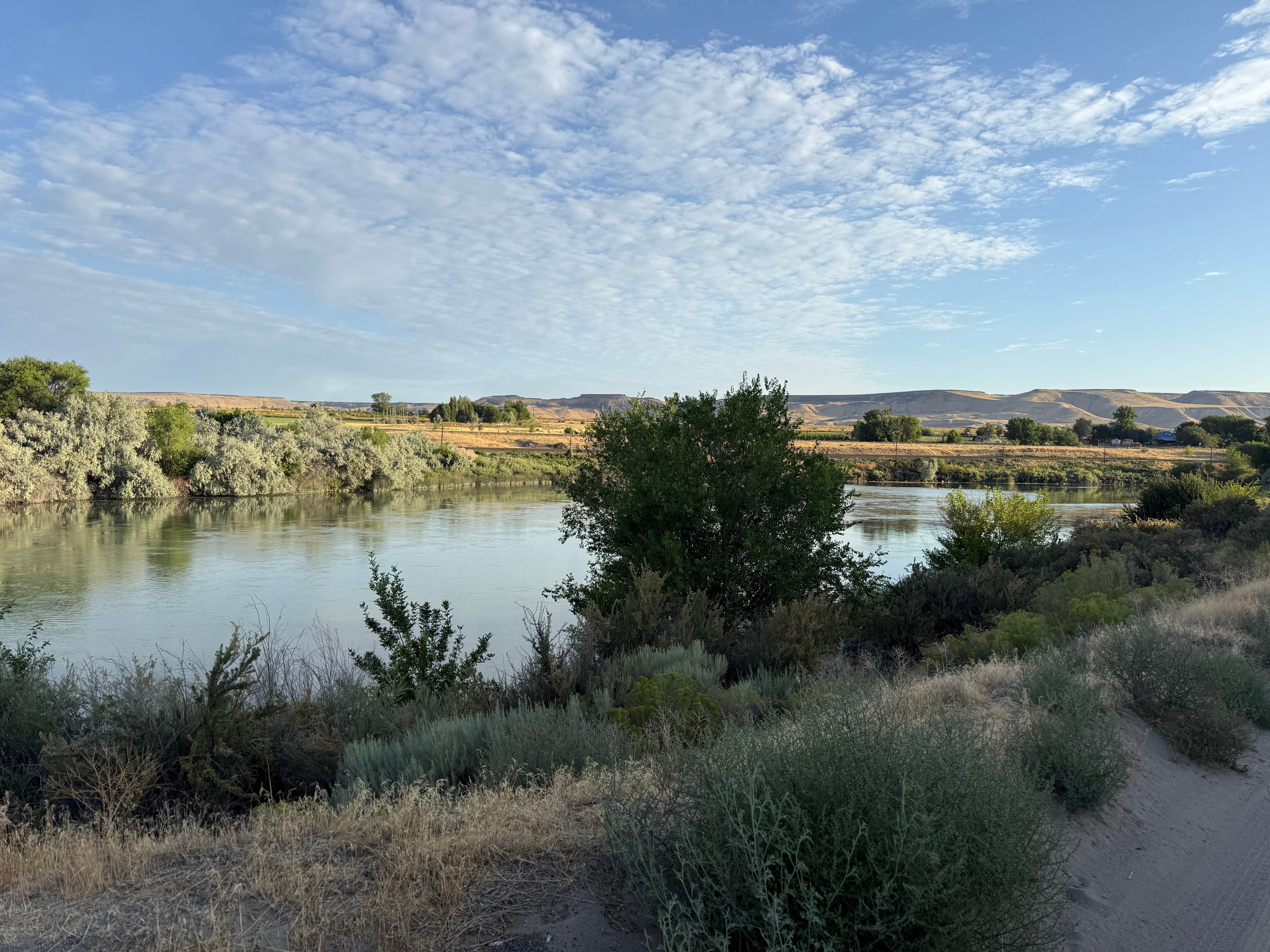 Brandon S.'s photo of a dispersed camping area at Frank C Jones King Hill Area near Corral, ID