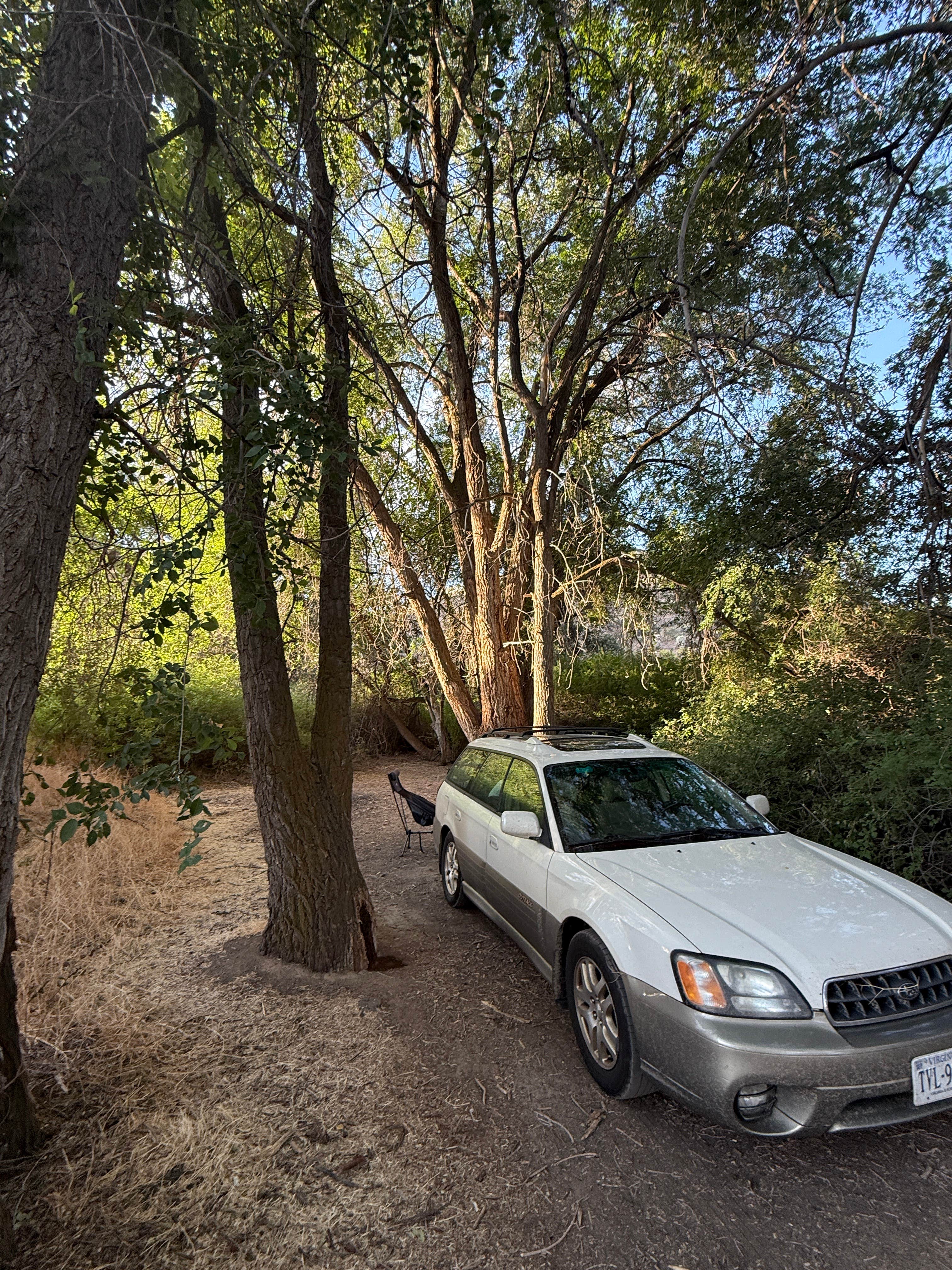 Camper-submitted photo at Frank C Jones King Hill Area near Corral, ID