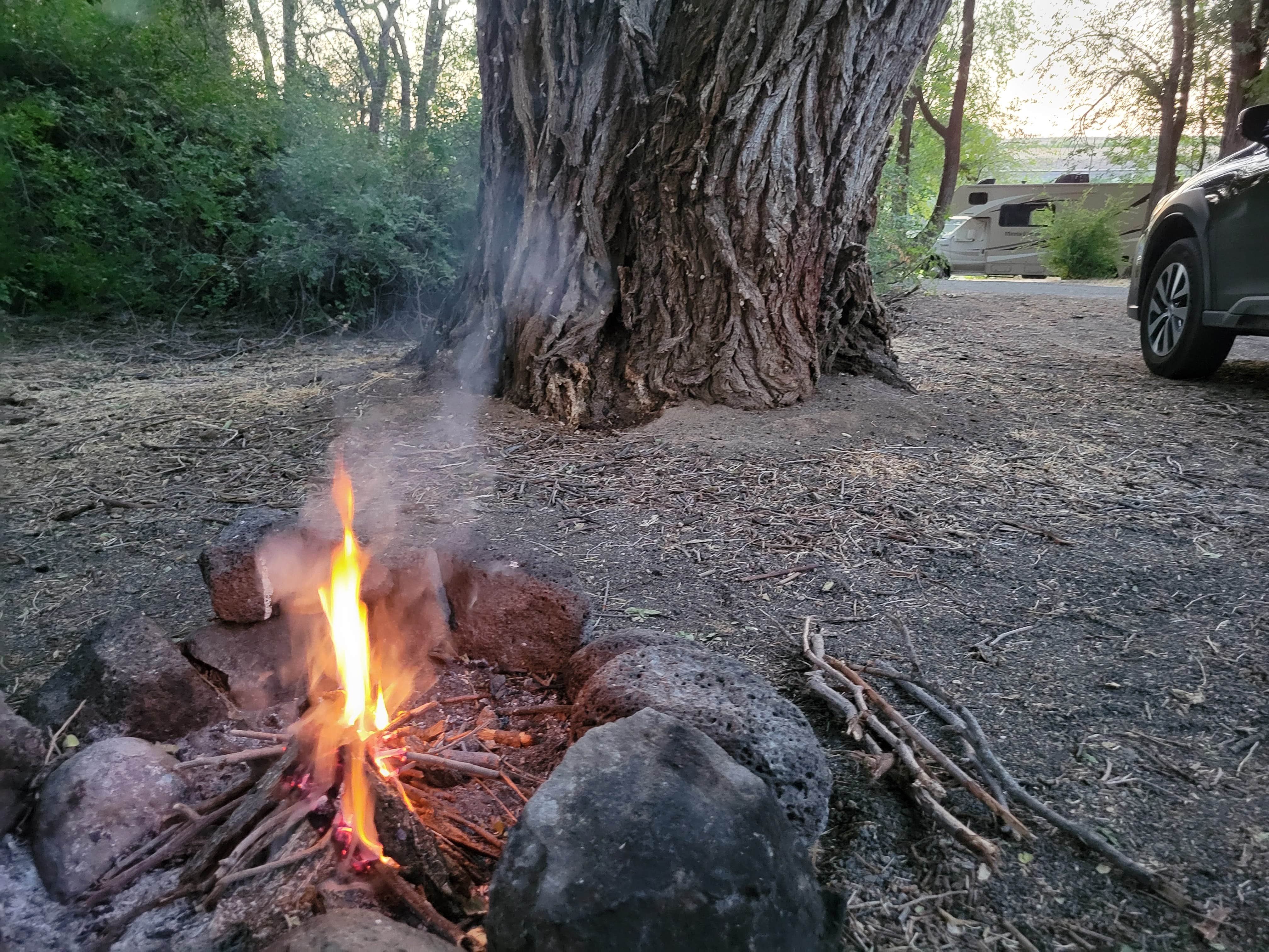 Camper submitted image from Frank C Jones King Hill Area - 1