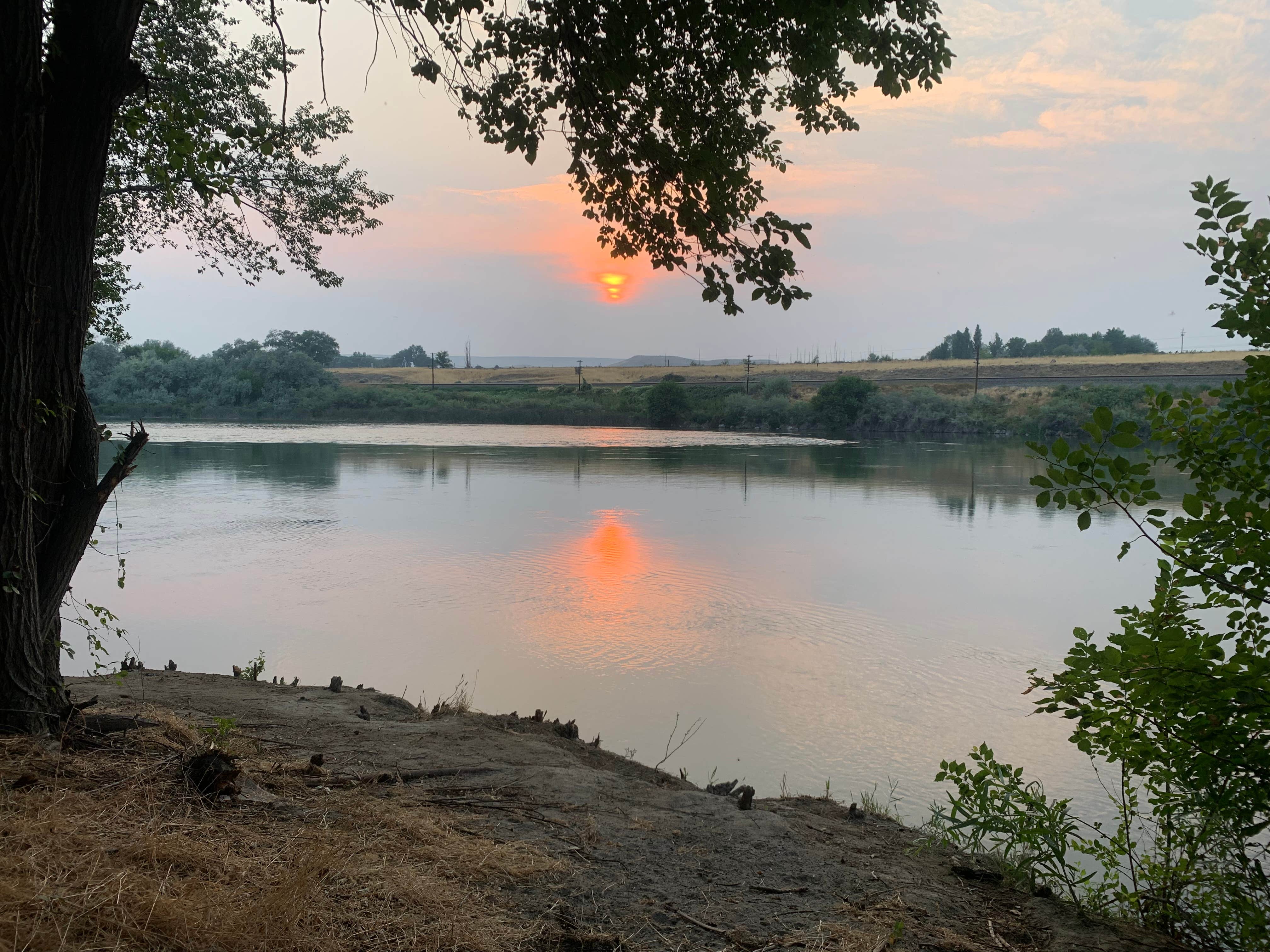 Andrew S.'s photo of a dispersed camping area at Frank C Jones King Hill Area near Corral, ID