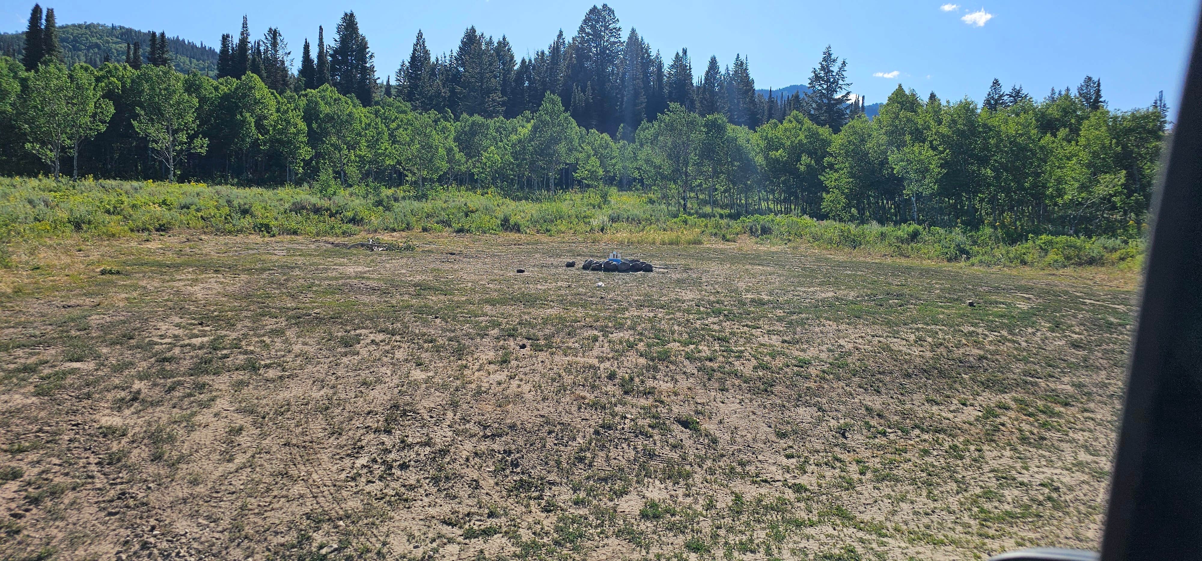 Camper-submitted photo at Franklin Basin Dispersed Camping near Uinta-Wasatch-Cache National Forest