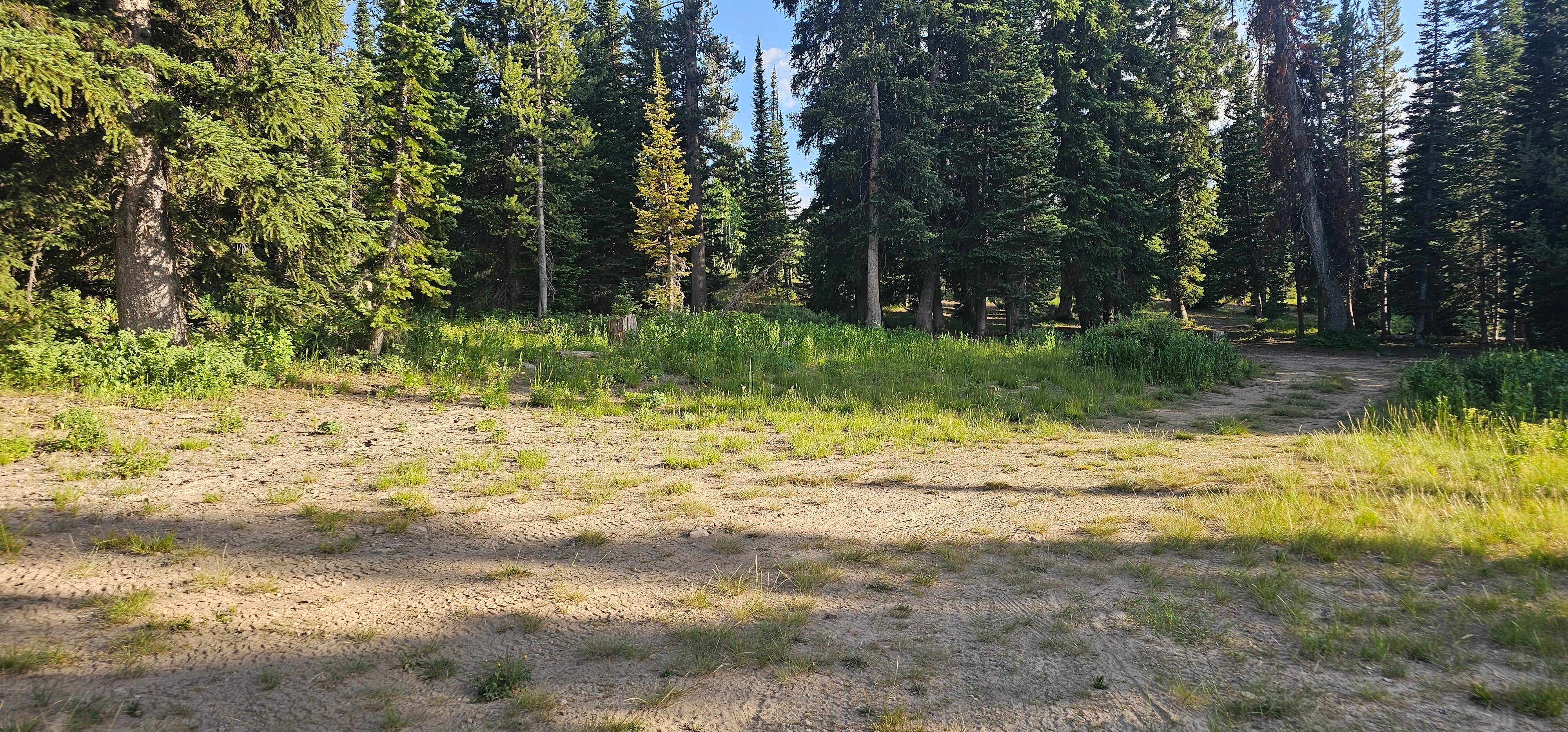 Camper-submitted photo at Franklin Basin Dispersed Camping near Uinta-Wasatch-Cache National Forest