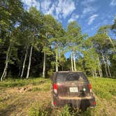 Review photo of Franklin Basin Dispersed Camping by Maddie F., June 26, 2025
