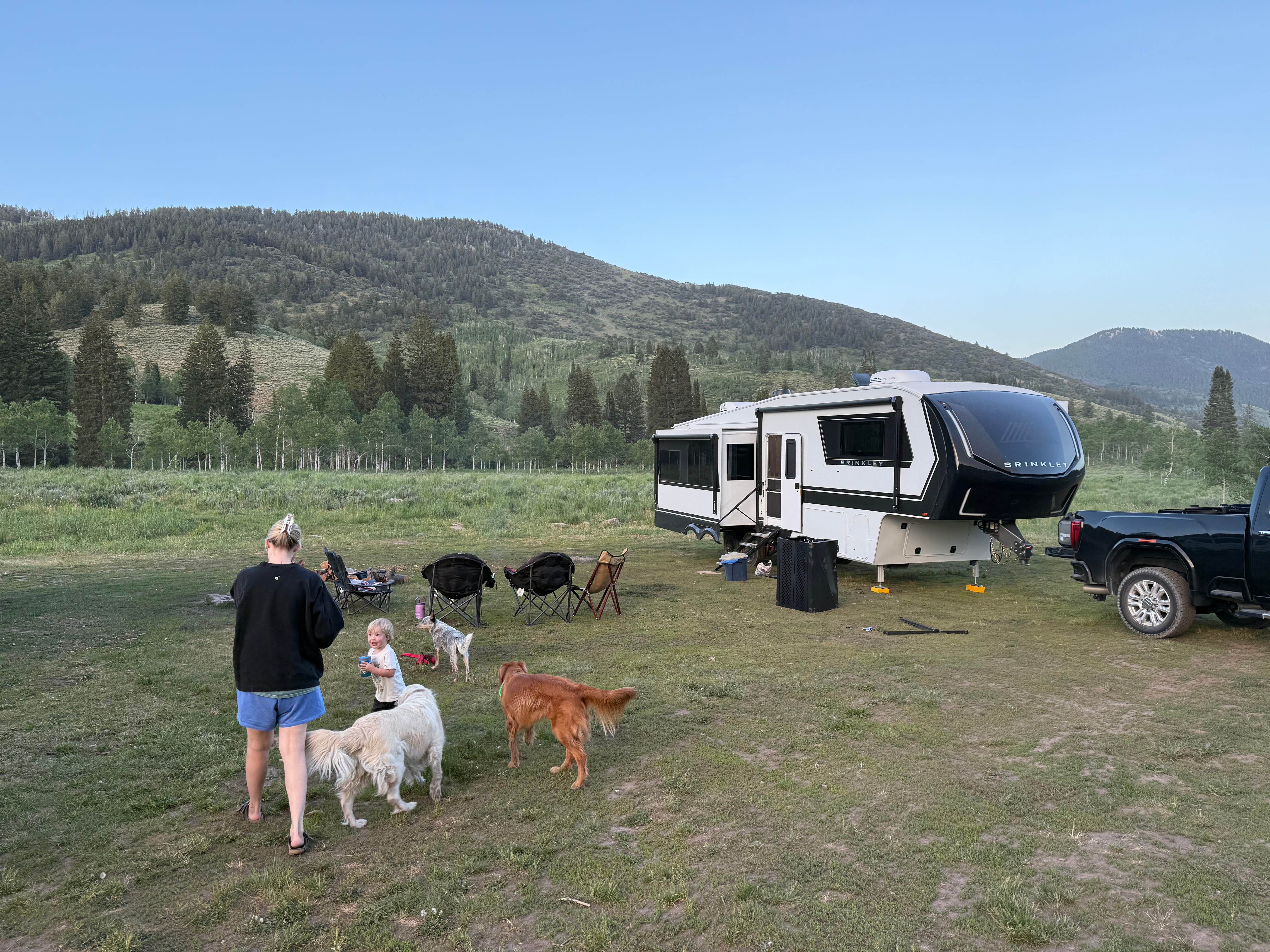Camper submitted image from Franklin Basin Dispersed Camping - 2