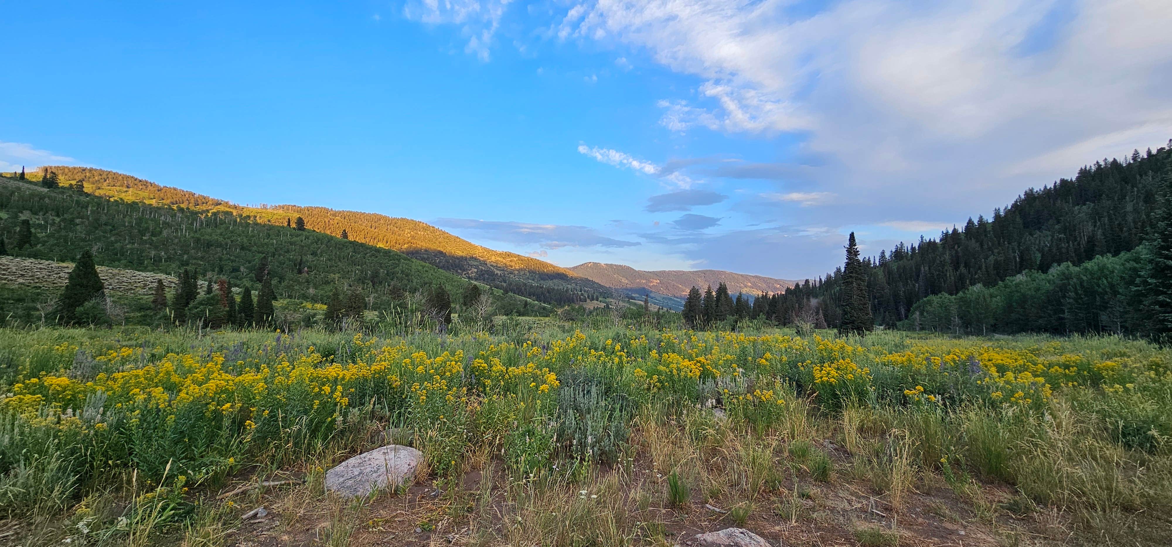 Camper-submitted photo at Franklin Basin Dispersed Camping near Lewiston, UT