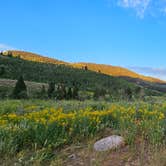 Review photo of Franklin Basin Dispersed Camping by johny R., July 15, 2025