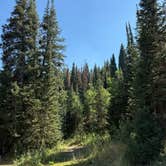 Review photo of Franklin Basin Dispersed Camping by Richard K., August 4, 2026