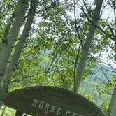 Review photo of Franklin Basin Dispersed Camping by Maddie F., June 26, 2025