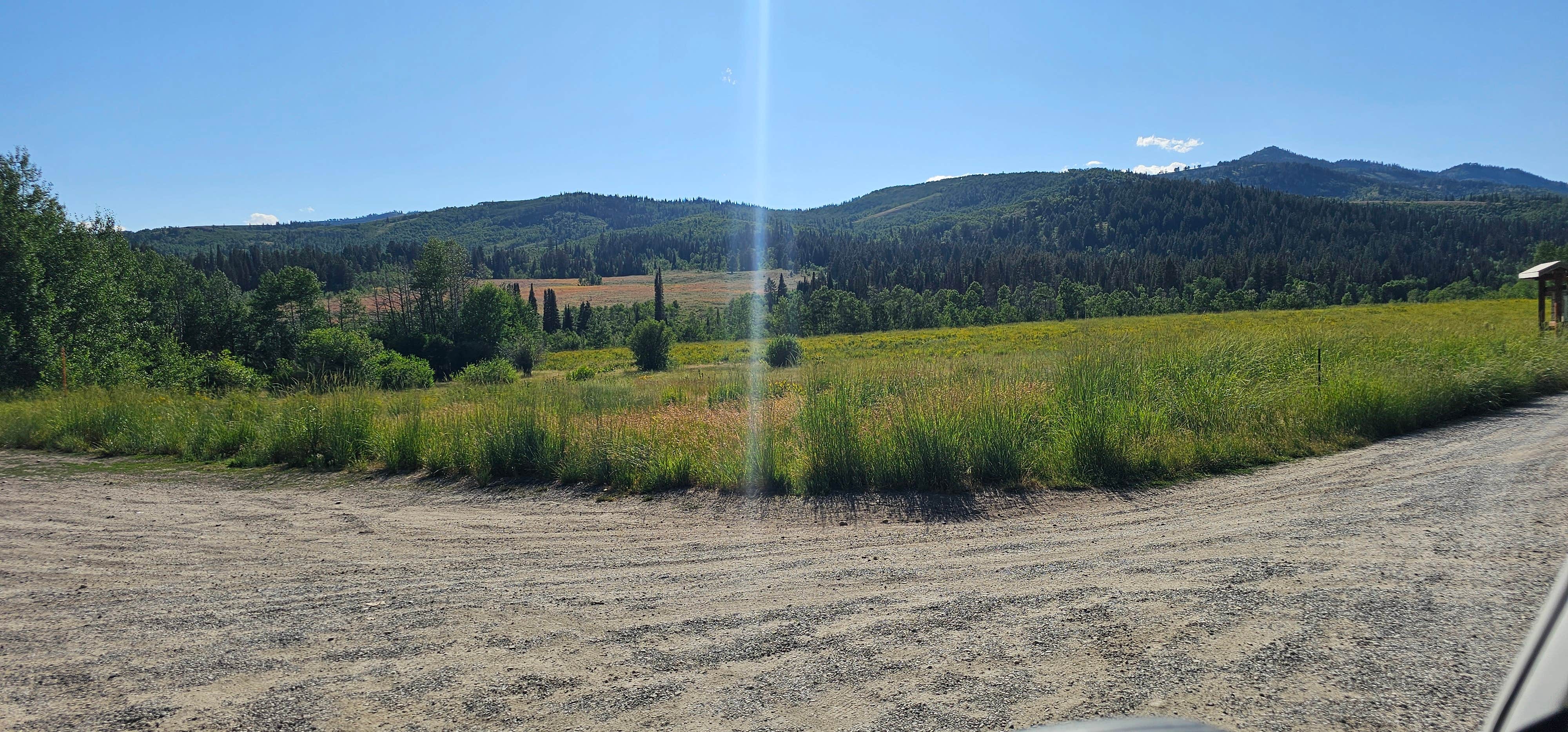 Camper submitted image from Franklin Basin Road - 2