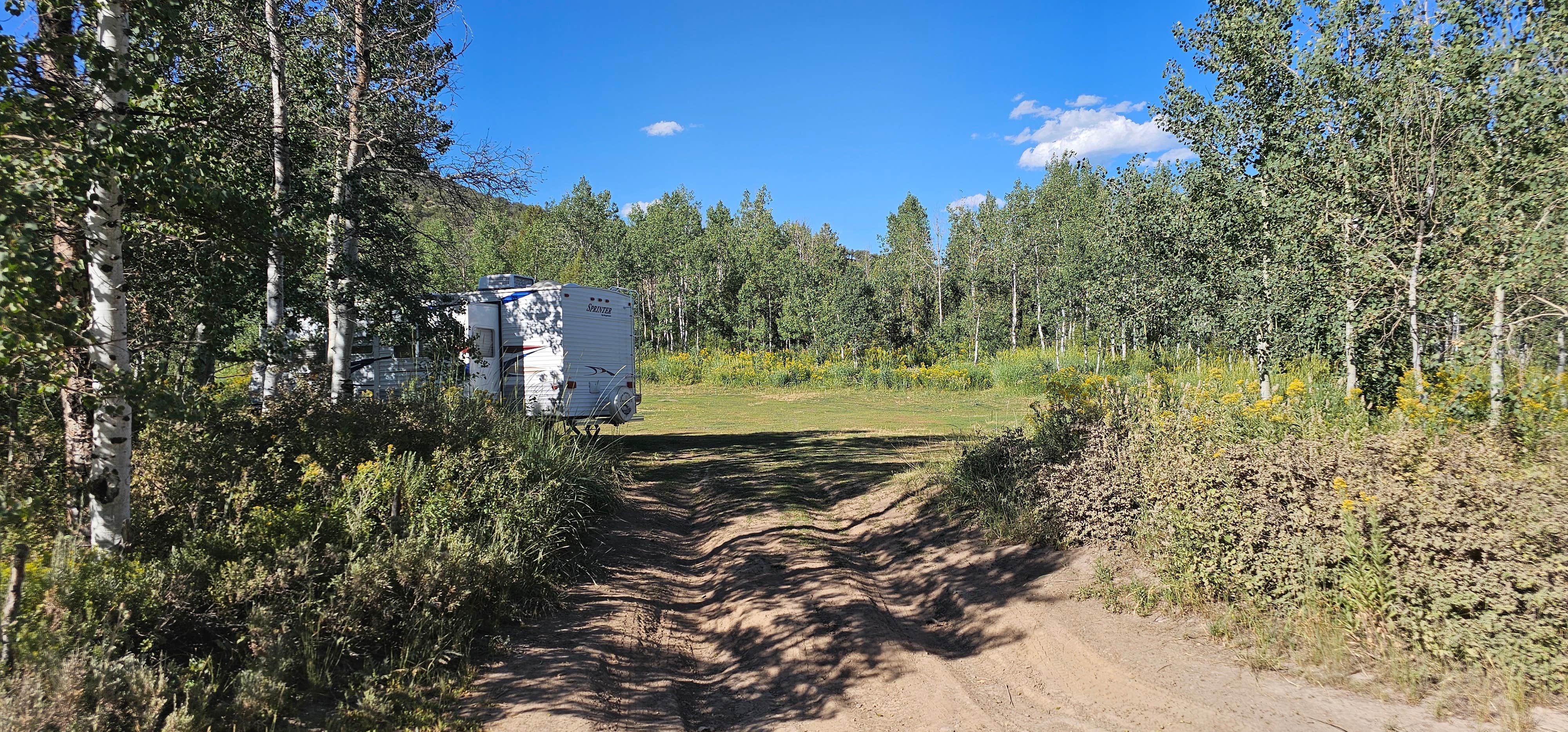 Camper-submitted photo at Franklin Basin Road near Logan, UT