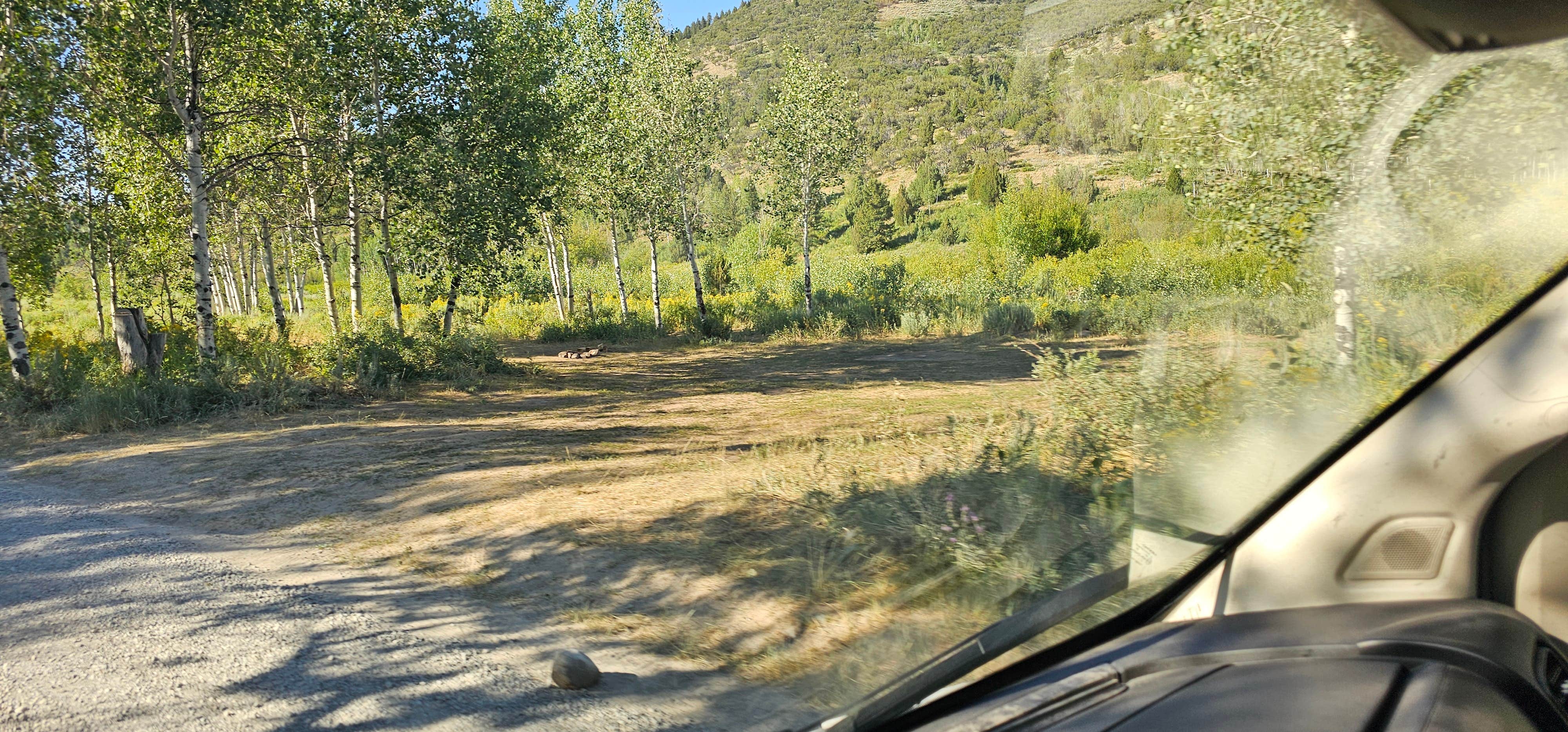 Camper submitted image from Franklin Basin Road - 5