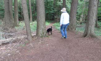 Kay K.'s photo of camping with pets at Franklin Lake near Summit Lake, WI