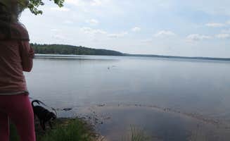 Kay K.'s photo of camping with pets at Franklin Lake near Three Lakes, WI