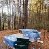 Review photo of Fransted Family Campground by Panvira T., October 14, 2025