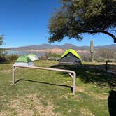 Review photo of Tonto National Forest Frazier Recreation Site by Andrew M., February 17, 2024