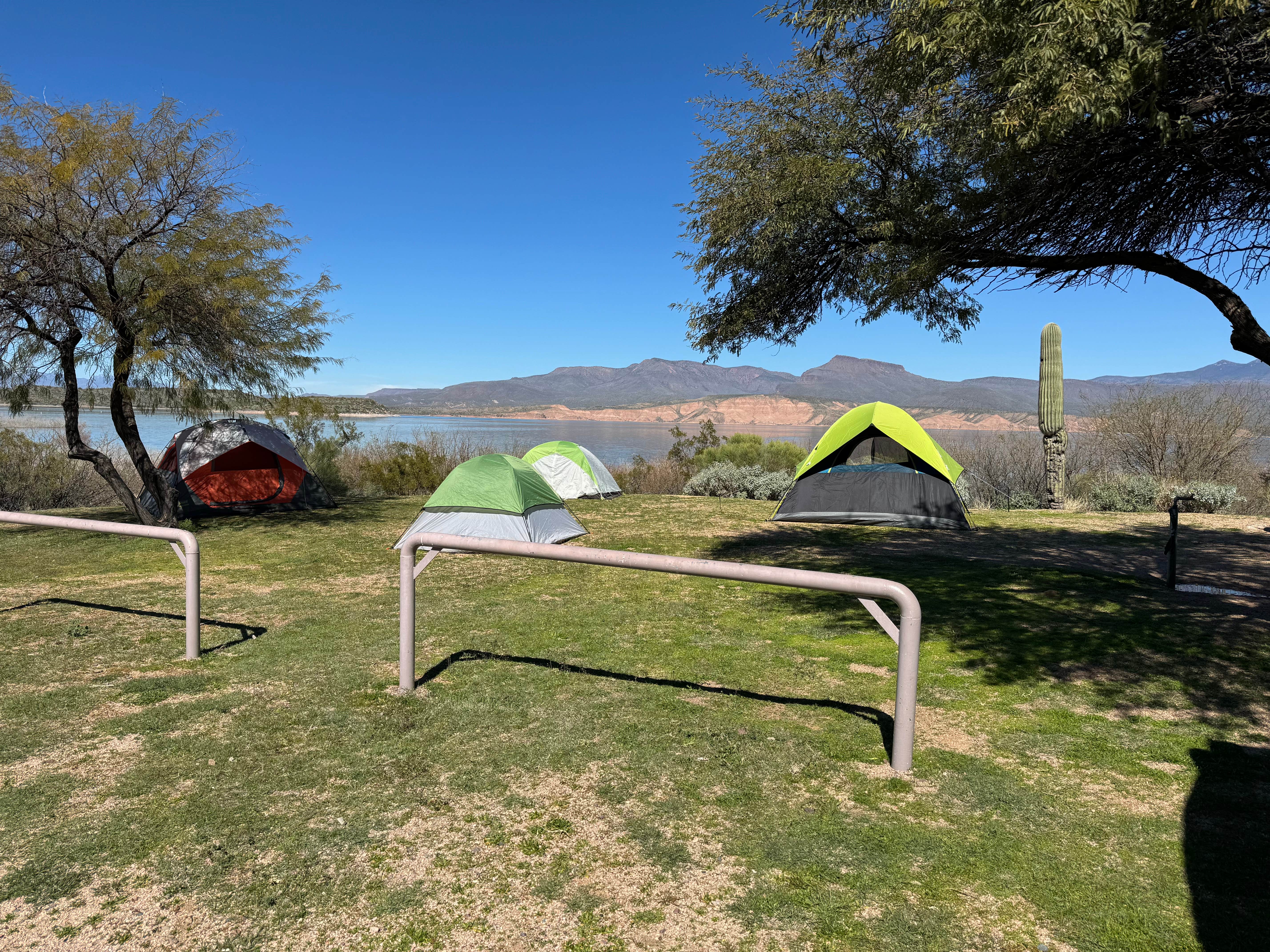 Camper submitted image from Tonto National Forest Frazier Recreation Site - 5