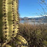 Review photo of Tonto National Forest Frazier Recreation Site by Andrew M., February 17, 2024