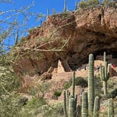 Review photo of Tonto National Forest Frazier Recreation Site by Andrew M., February 17, 2024