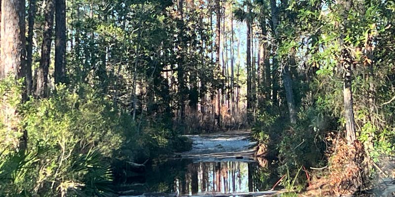 Camper submitted image from Freak Creek Dispersed Camping