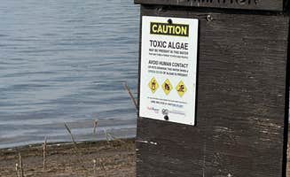 Mackenzie P.'s photo of a dispersed camping area at Free and Dispersed Lake Acess near Ennis, MT