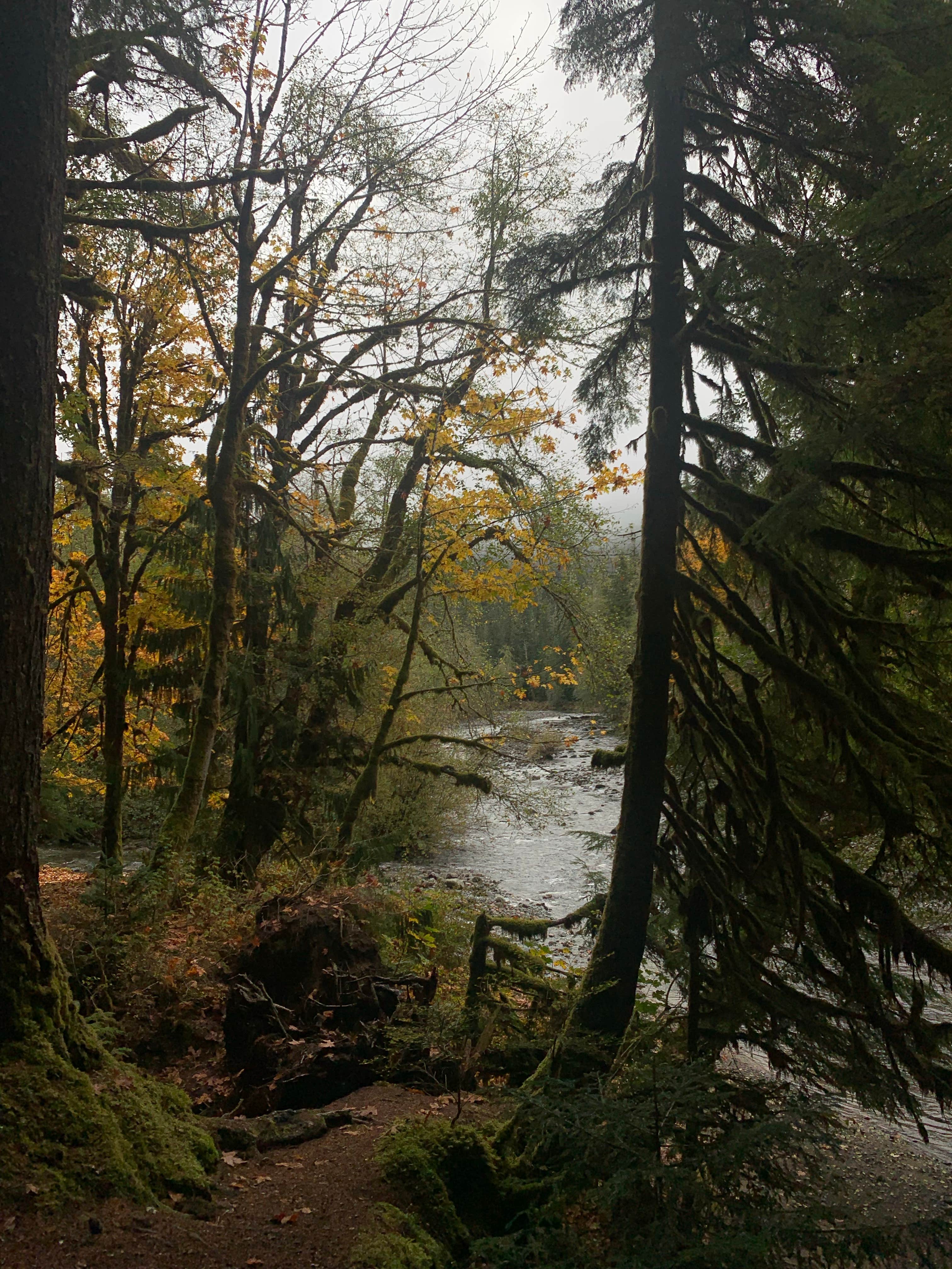Camper-submitted photo at Mountain Loop Hway Dispersed Camp near Everett, WA