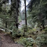 Review photo of Mountain Loop Hway Dispersed Camp by Allie L., August 15, 2025