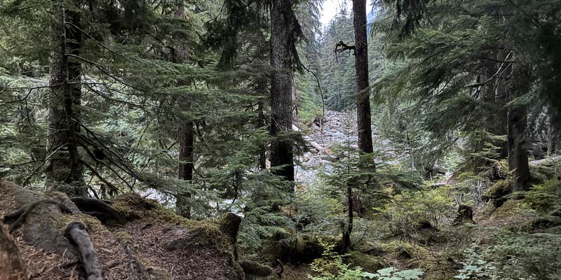 Camper submitted image from Mountain Loop Hway Dispersed Camp