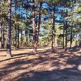 Review photo of Free Dispersed Camping by Roy R., October 8, 2026