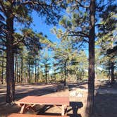 Review photo of Free Dispersed Camping by Roy R., October 8, 2026