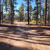 Review photo of Free Dispersed Camping by Roy R., October 8, 2026