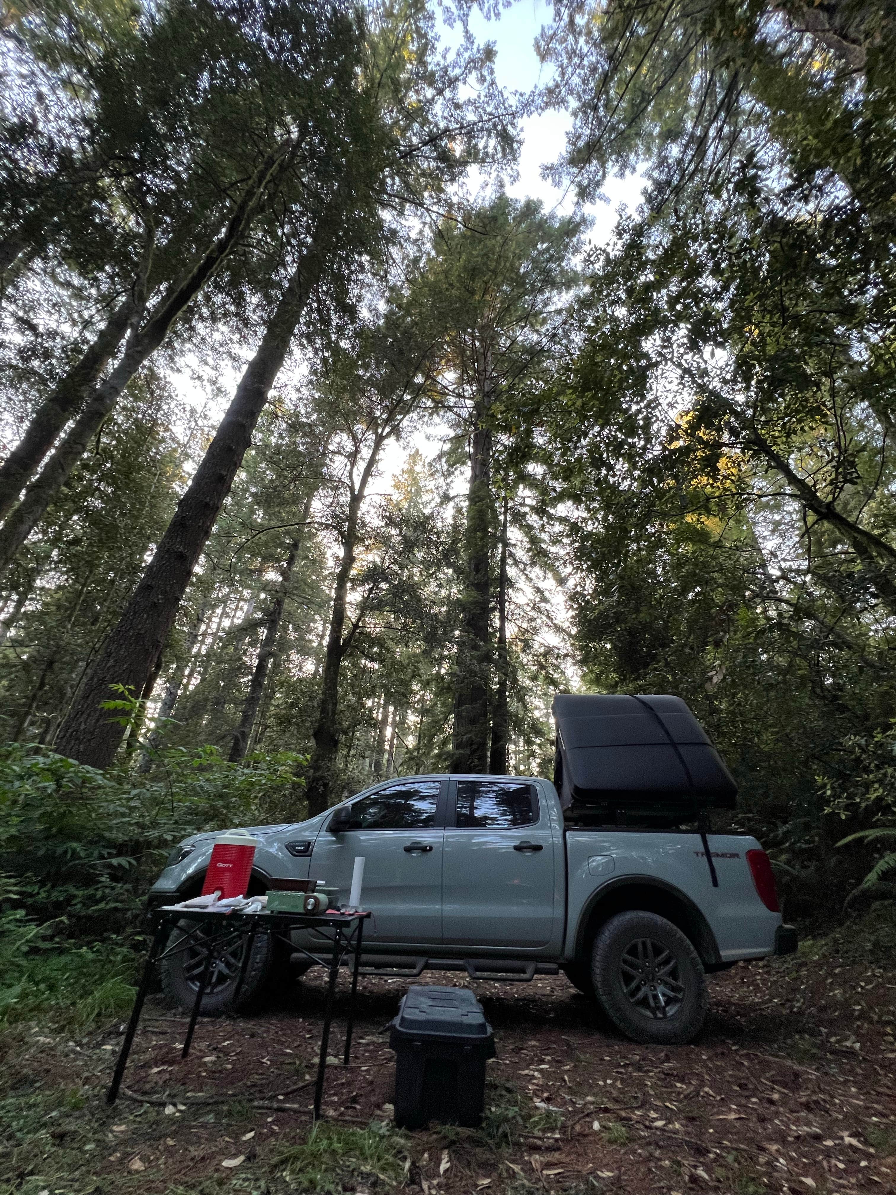Camper-submitted photo at free dispersed camping near Smith River, CA