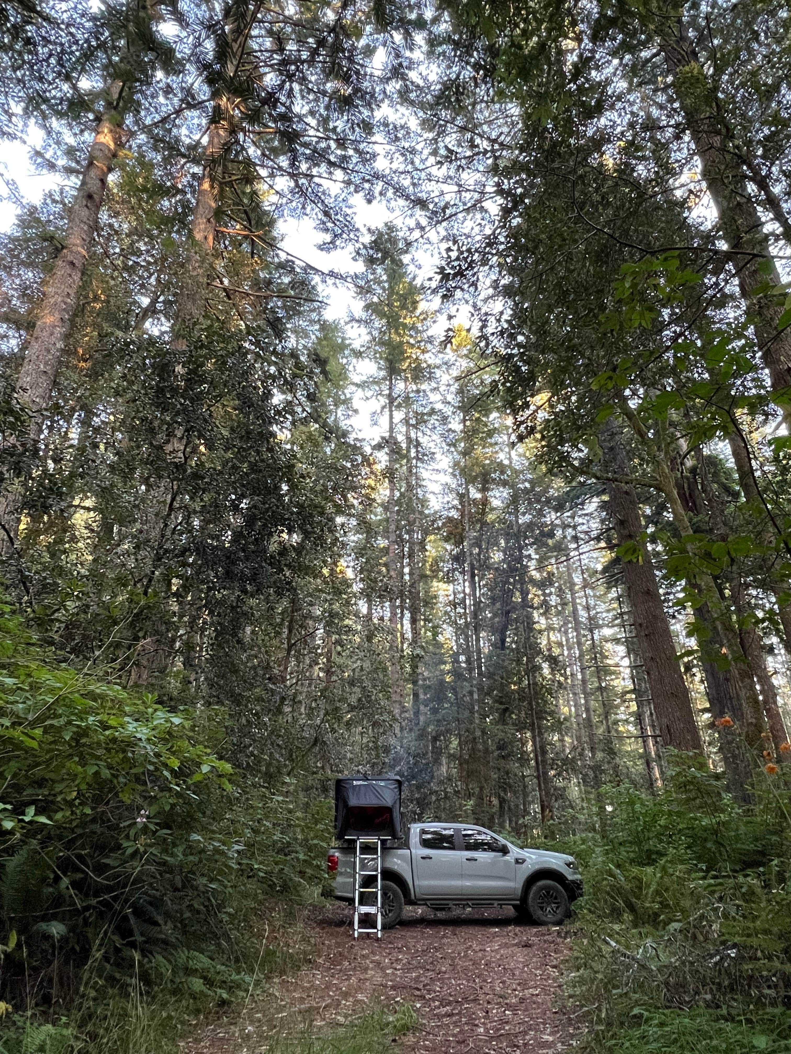 Camper-submitted photo at free dispersed camping near Smith River, CA