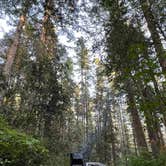 Review photo of free dispersed camping by Alicia W., July 9, 2025