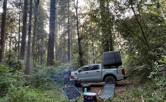 Alicia W.'s photo at free dispersed camping near Smith River, CA