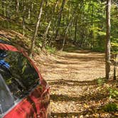 Review photo of Free forest site by Laura B., October 24, 2026