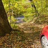 Review photo of Free forest site by Laura B., October 24, 2026
