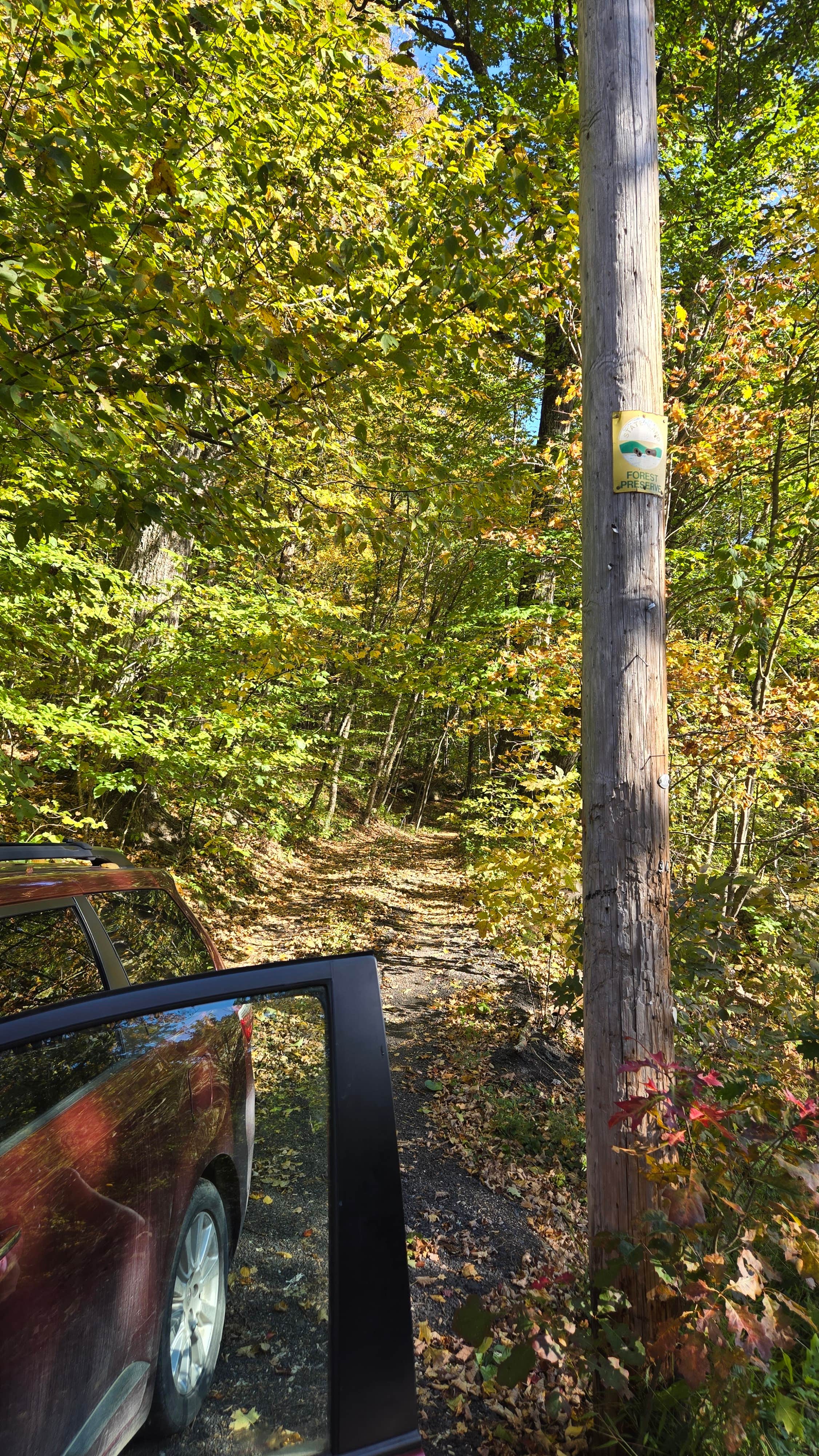Camping near Catskill/Kenneth L Wilson Campground: Free forest site, West Shokan, New York