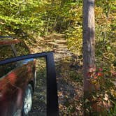 Review photo of Free forest site by Laura B., October 24, 2026