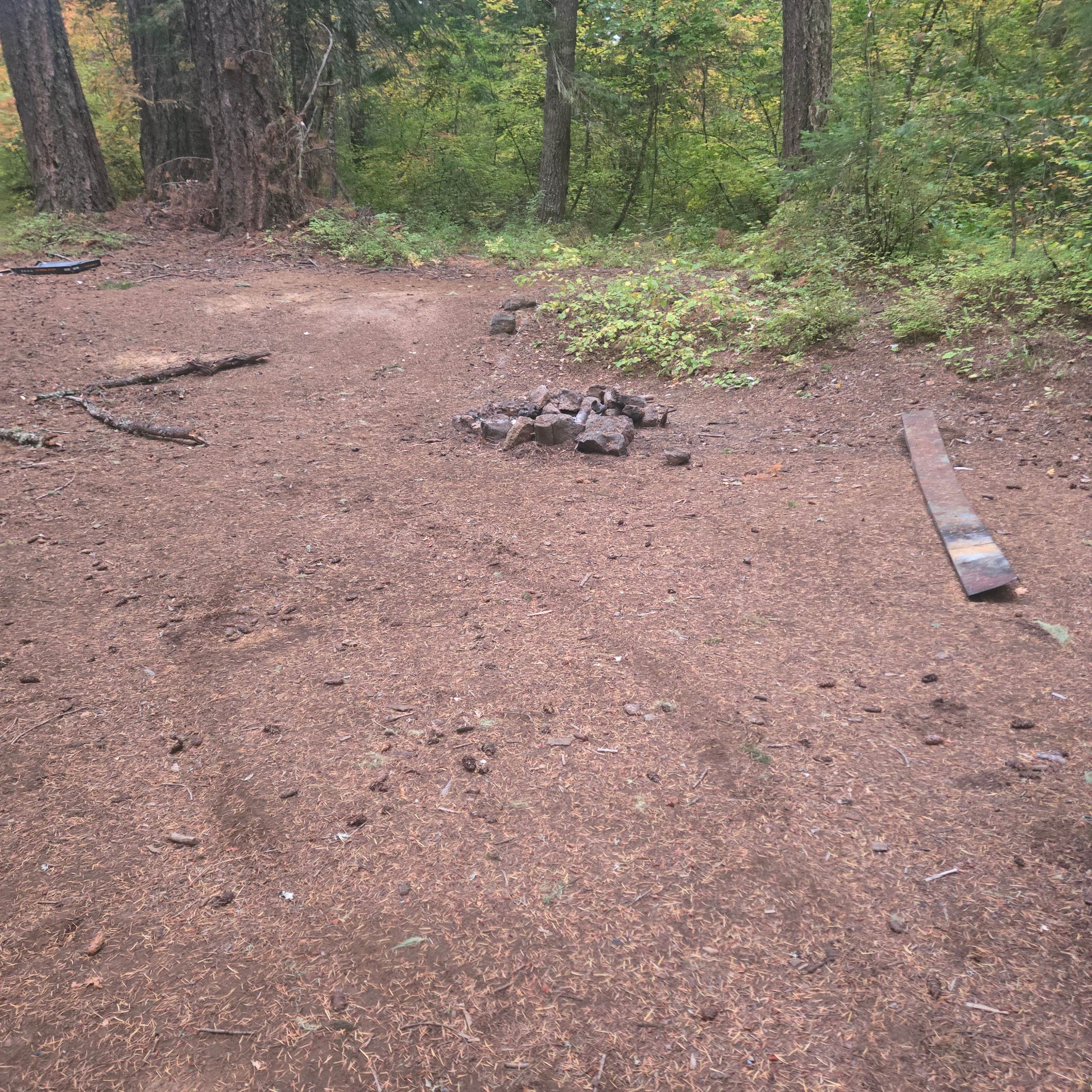 Camper-submitted photo at NF 020 - Trout Lake Dispersed Site near Trout Lake, WA