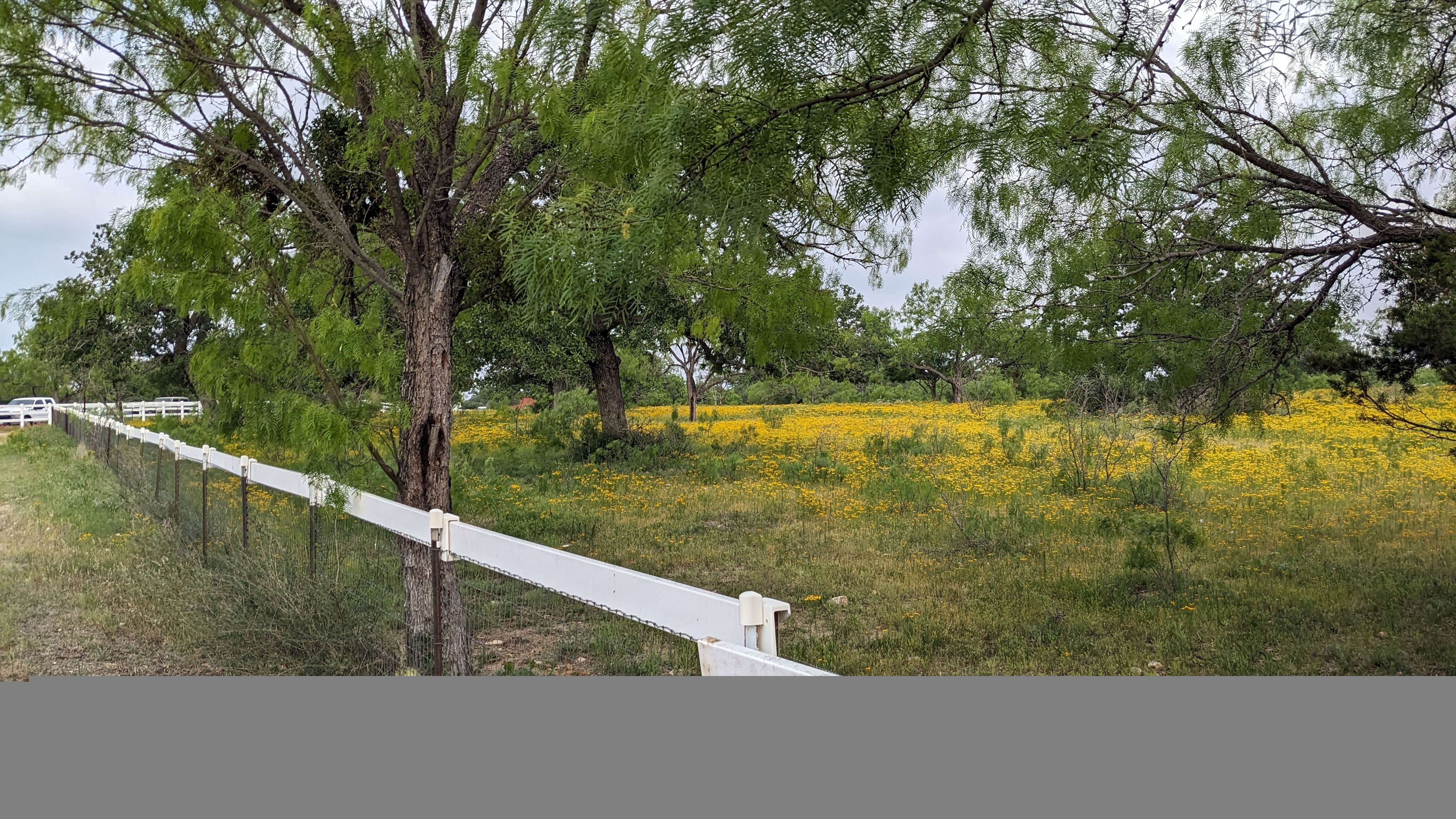 Camper-submitted photo at Freedom Lives Ranch RV Resort near Marble Falls, TX
