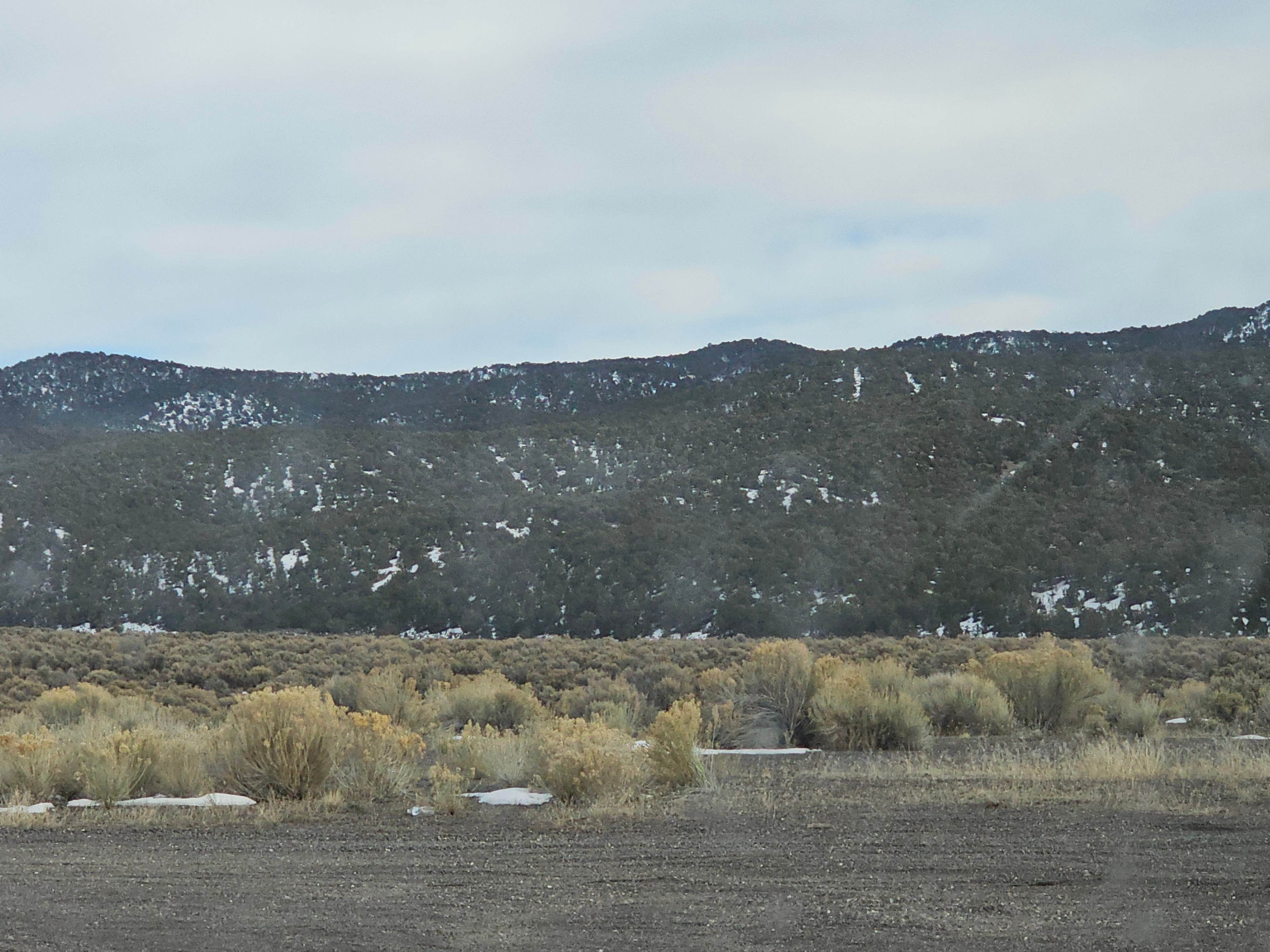 Camper submitted image from Freemont Wash Dispersed Camping - 1