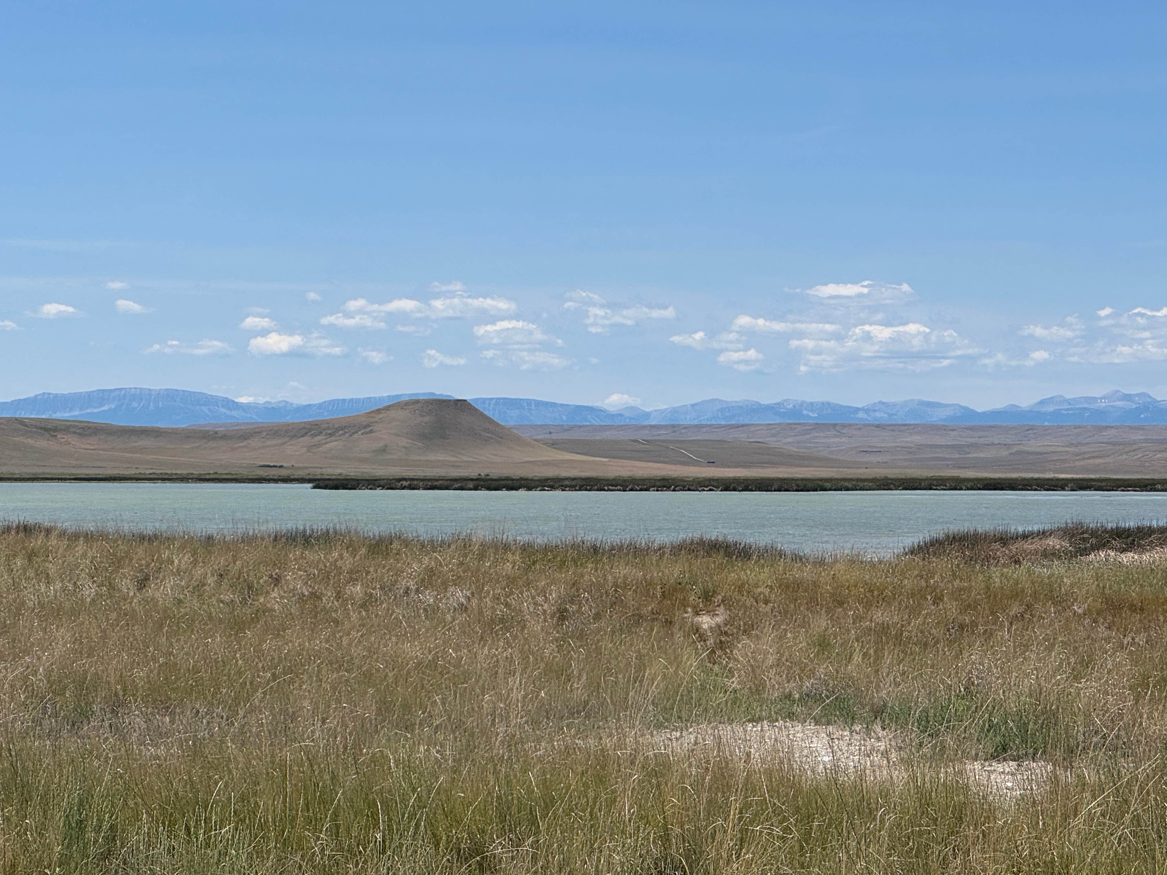 Camper submitted image from Freezeout Lake Wildlife Management - 1