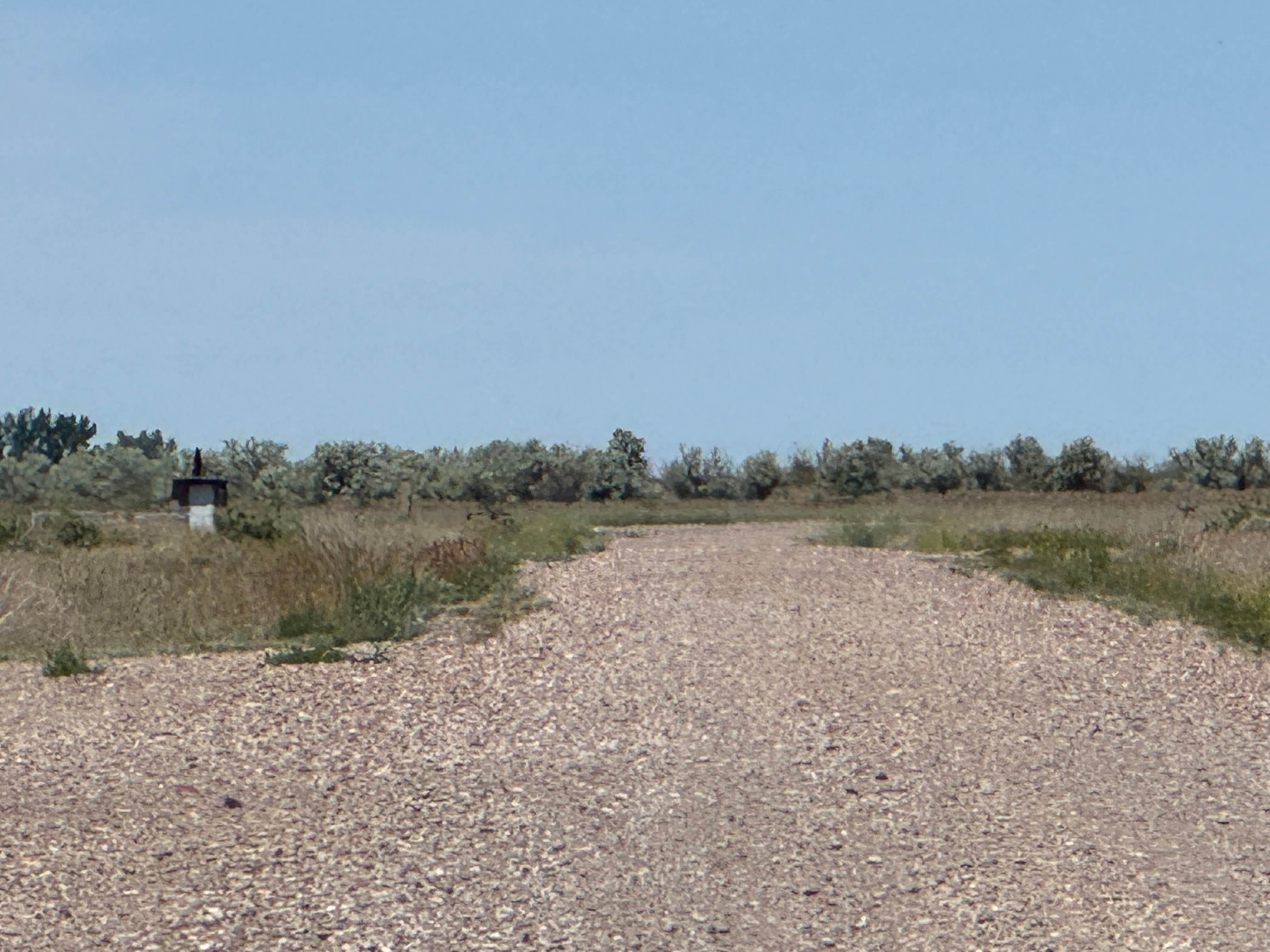 Camper submitted image from Freezeout Lake Wildlife Management - 4