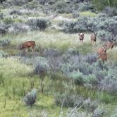 Review photo of Fremont National Forest Upper Jones Forest Camp by Greg B., May 31, 2026
