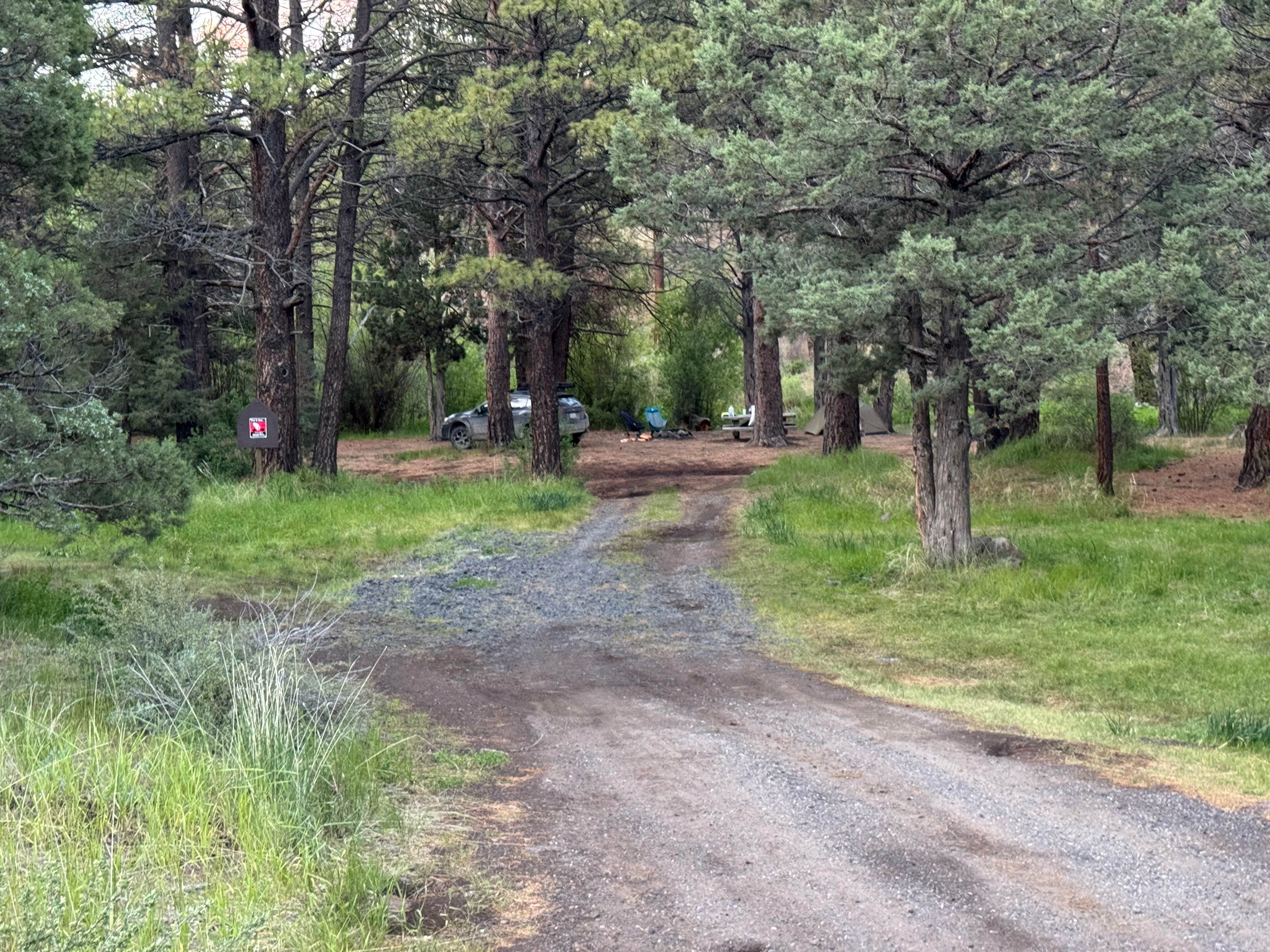 Camper-submitted photo at Fremont National Forest Upper Jones Forest Camp near Paisley, OR